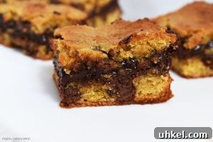 Decadent Chocolate Fudge Stuffed Cookie Bars Recipe 4 Chocolate Fudge Stuffed Cookie Bars are soft and gooey cookie bars with a quick and easy chocolate fudge running through the middle.