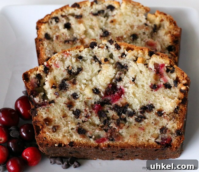 Gluten-free Cranberry Chocolate Quick Bread recipe