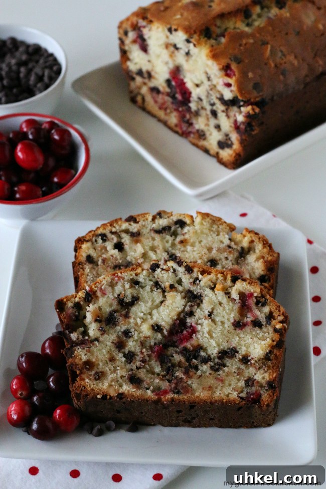 Festive Gluten-free Cranberry Chocolate Quick Bread
