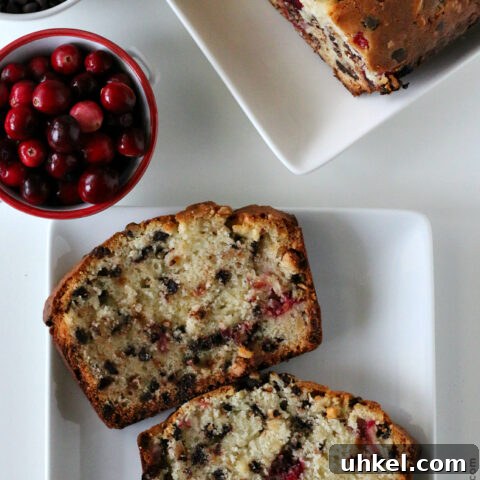 Gluten-free Cranberry Chocolate Bread