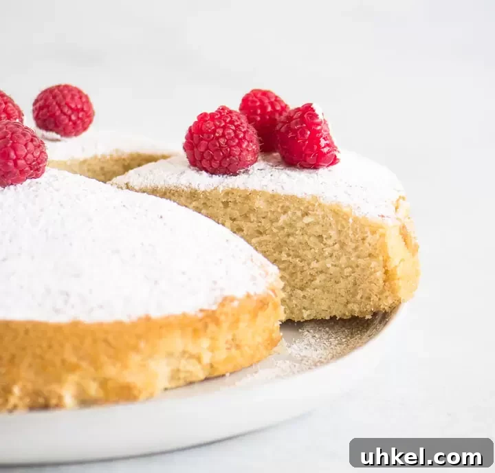 Decadent No-Egg Vanilla Crazy Cake Recipe for Moist Homemade Cake 2 sliced cake on a cake plate with powdered sugar and raspberries on top