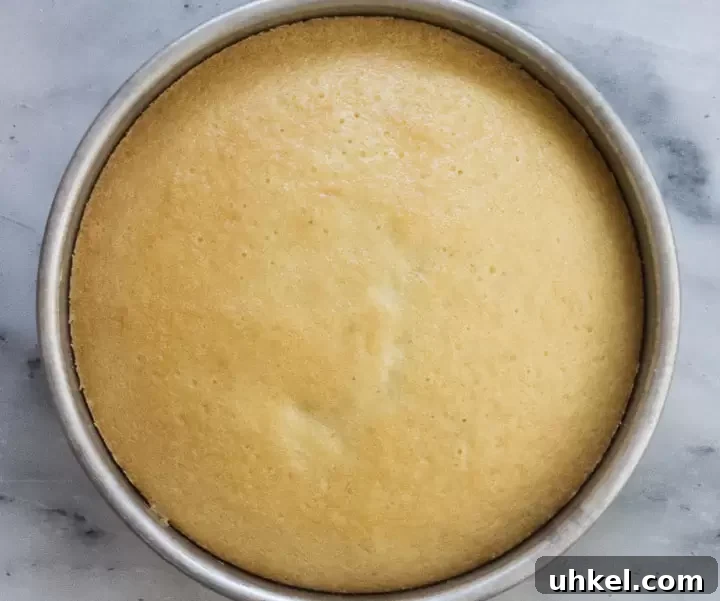 Decadent No-Egg Vanilla Crazy Cake Recipe for Moist Homemade Cake 4 overhead photo of crazy cake after it comes out of the oven