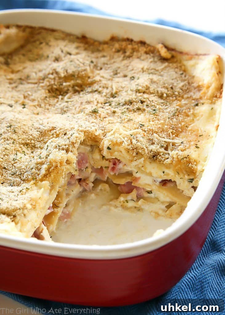 Chicken Cordon Bleu Lasagna Recipe — Creamy Ham & Swiss Bake 4 Chicken Cordon Bleu Lasagna