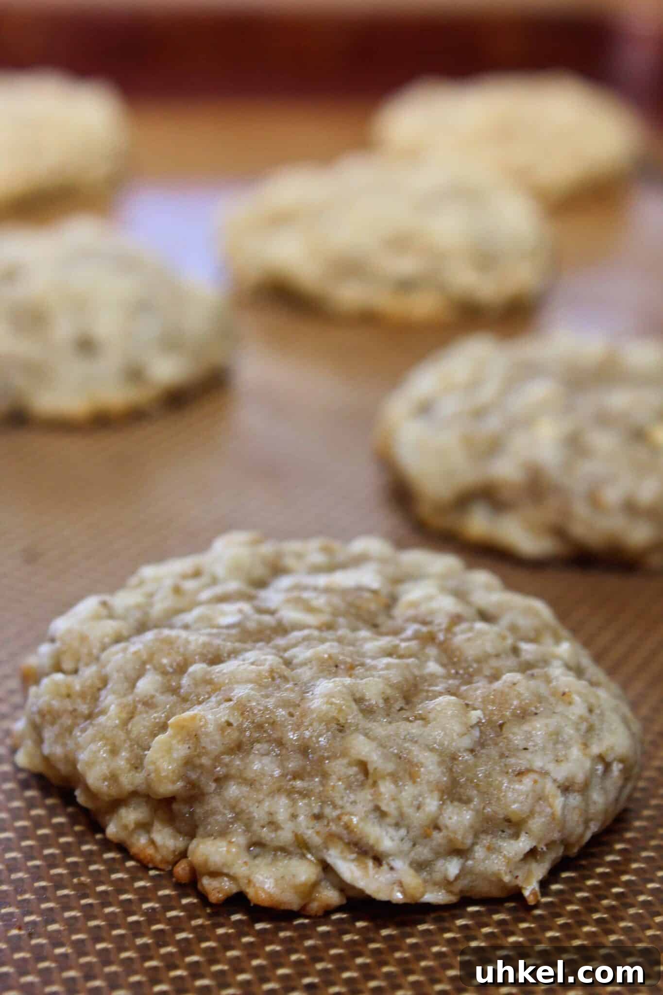 Brown Butter Banana Oatmeal Cookies Recipe That Melts in Your Mouth 7 Brown Butter Banana Oatmeal Cookies Recipe featured by top US cookie blog, Practically Homemade