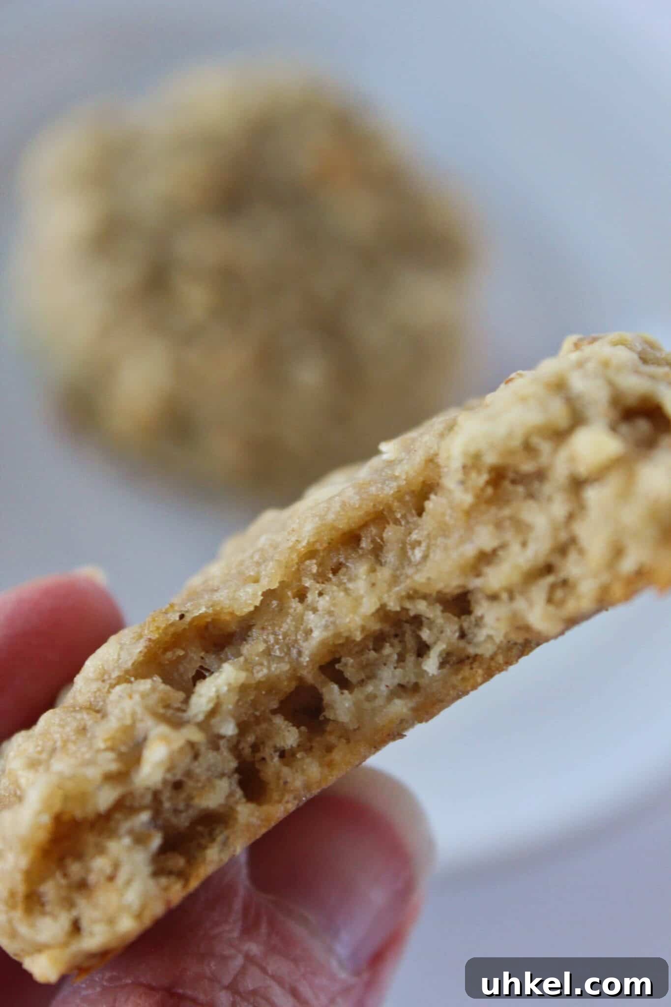 Brown Butter Banana Oatmeal Cookies Recipe That Melts in Your Mouth 8 Brown Butter Banana Oatmeal Cookies Recipe featured by top US cookie blog, Practically Homemade