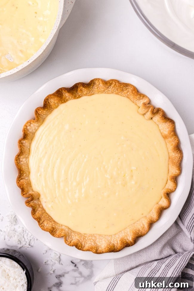 custard pie filling in a pre-baked pie shell