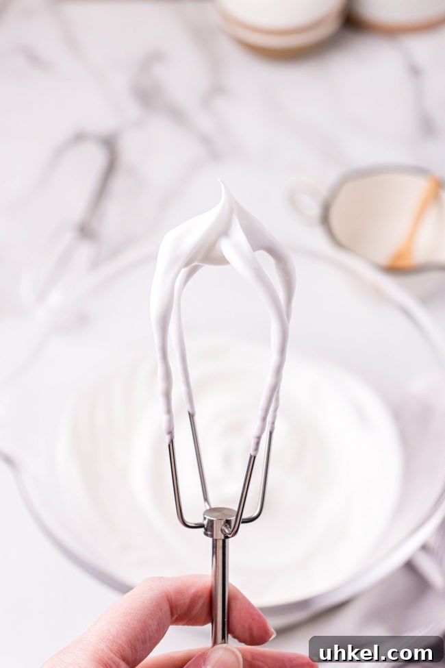 meringue stiff peaks on a beater