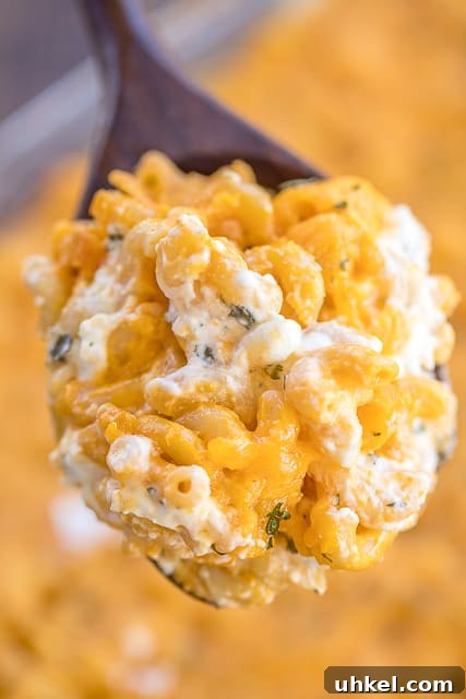 Million Dollar Mac & Cheese Baked Million Dollar Mac & Cheese