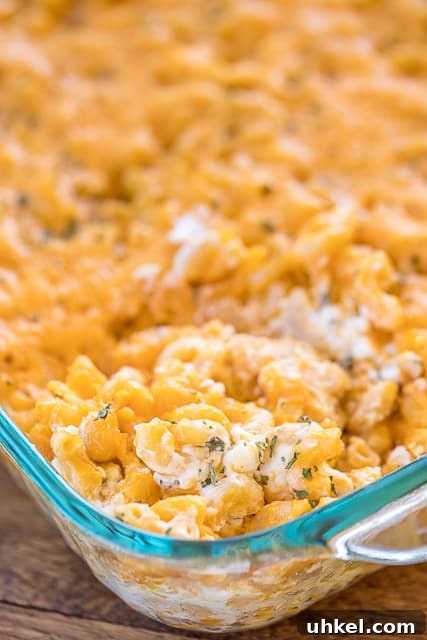 Million Dollar Mac & Cheese Serving Million Dollar Mac & Cheese