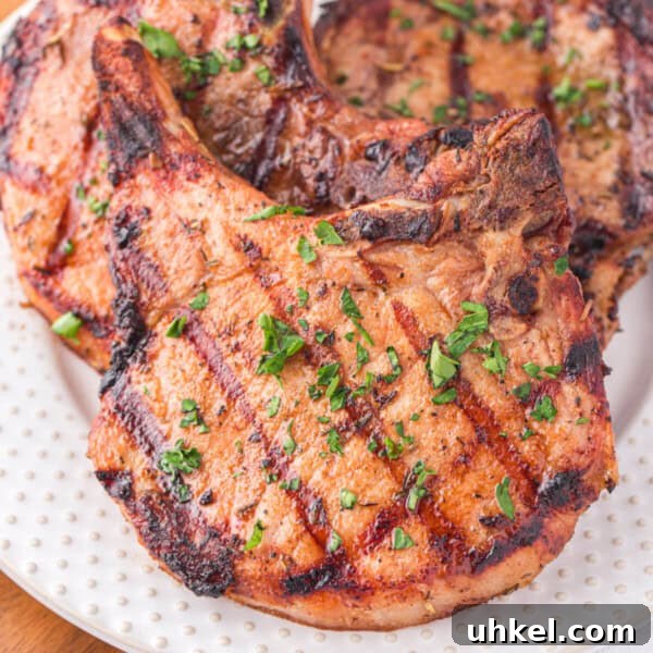 Smoked Pork Chops Recipe: Tender, Juicy Flavor from the Smoker 11 closeup of grilled pork chops on plate