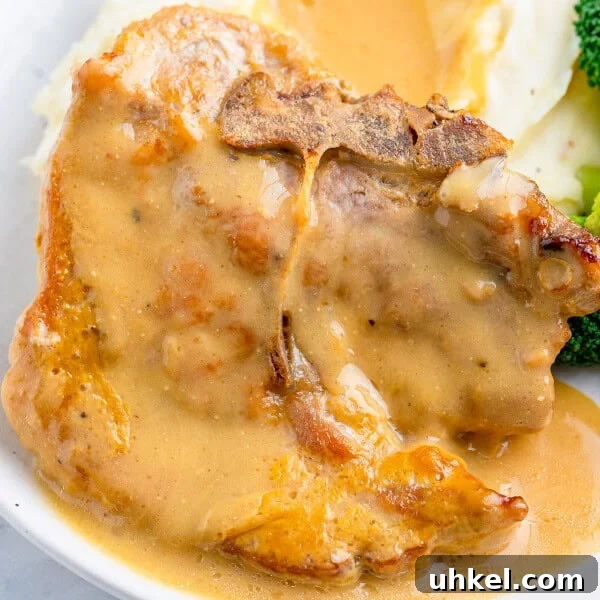 Smoked Pork Chops Recipe: Tender, Juicy Flavor from the Smoker 12 Easy Baked Pork Chops in Gravy
