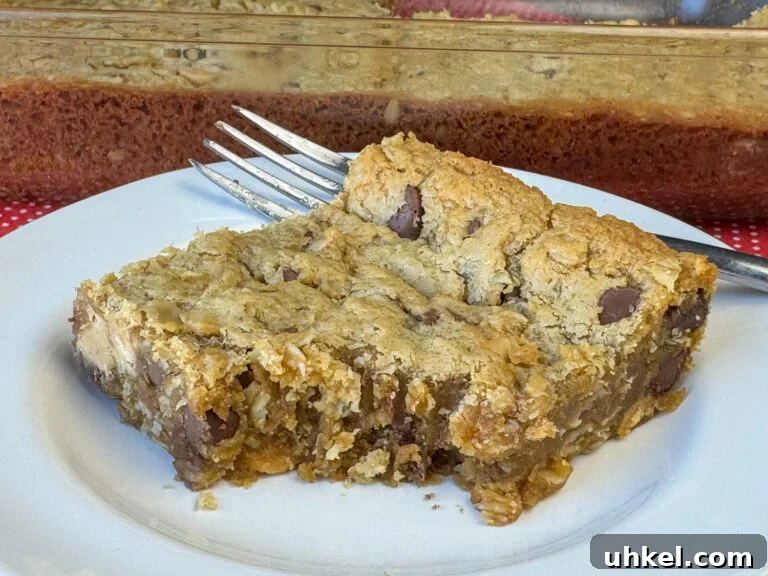 Gooey Chocolate Peanut Butter Oatmeal Bars Recipe 2 Bite out a gooey and delicious chocolate peanut butter oatmeal cookie bar with the full pan in the background.
