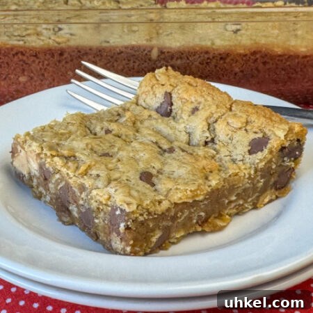 Gooey Chocolate Peanut Butter Oatmeal Bars Recipe 11 Thick cookie bar showing a gooey center with chocolate, oatmeal, and peanut butter chips.