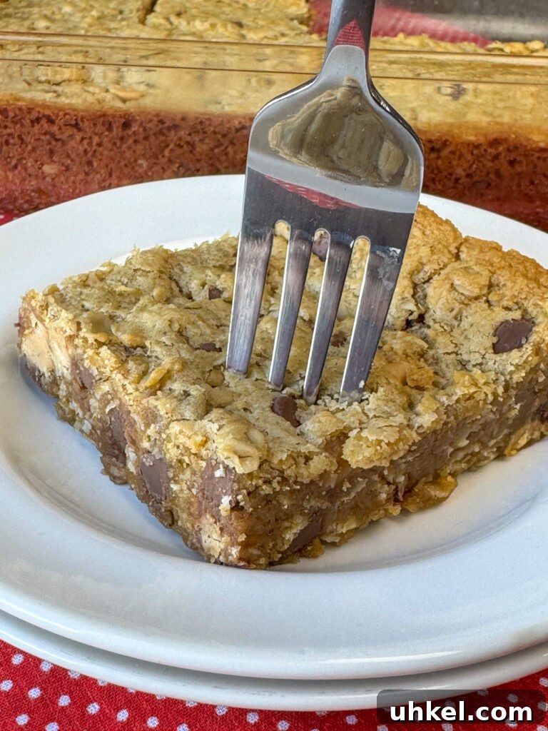 Gooey Chocolate Peanut Butter Oatmeal Bars Recipe 3 Fork in a chocolate filled peanut butter oatmeal bar on a small white plate.