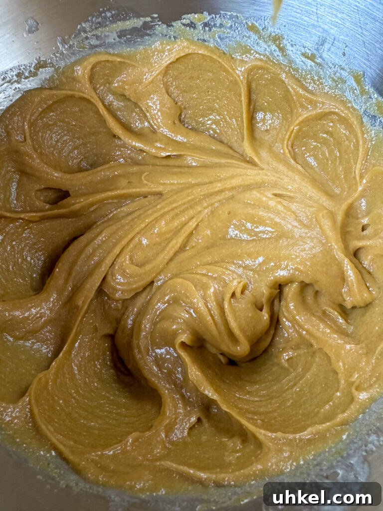 Gooey Chocolate Peanut Butter Oatmeal Bars Recipe 6 Rich and creamy peanut butter cookie dough base.