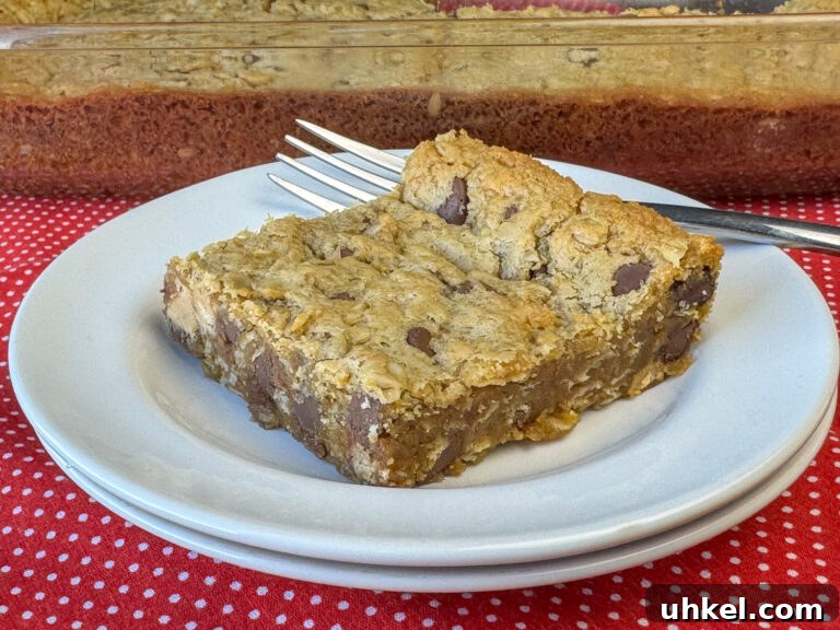 Gooey Chocolate Peanut Butter Oatmeal Bars Recipe 10 Chocolate chip and peanut butter filled oatmeal cookie bar on a white plate with a fork resting on the back in front of a 9 x 13" pan of cookies.