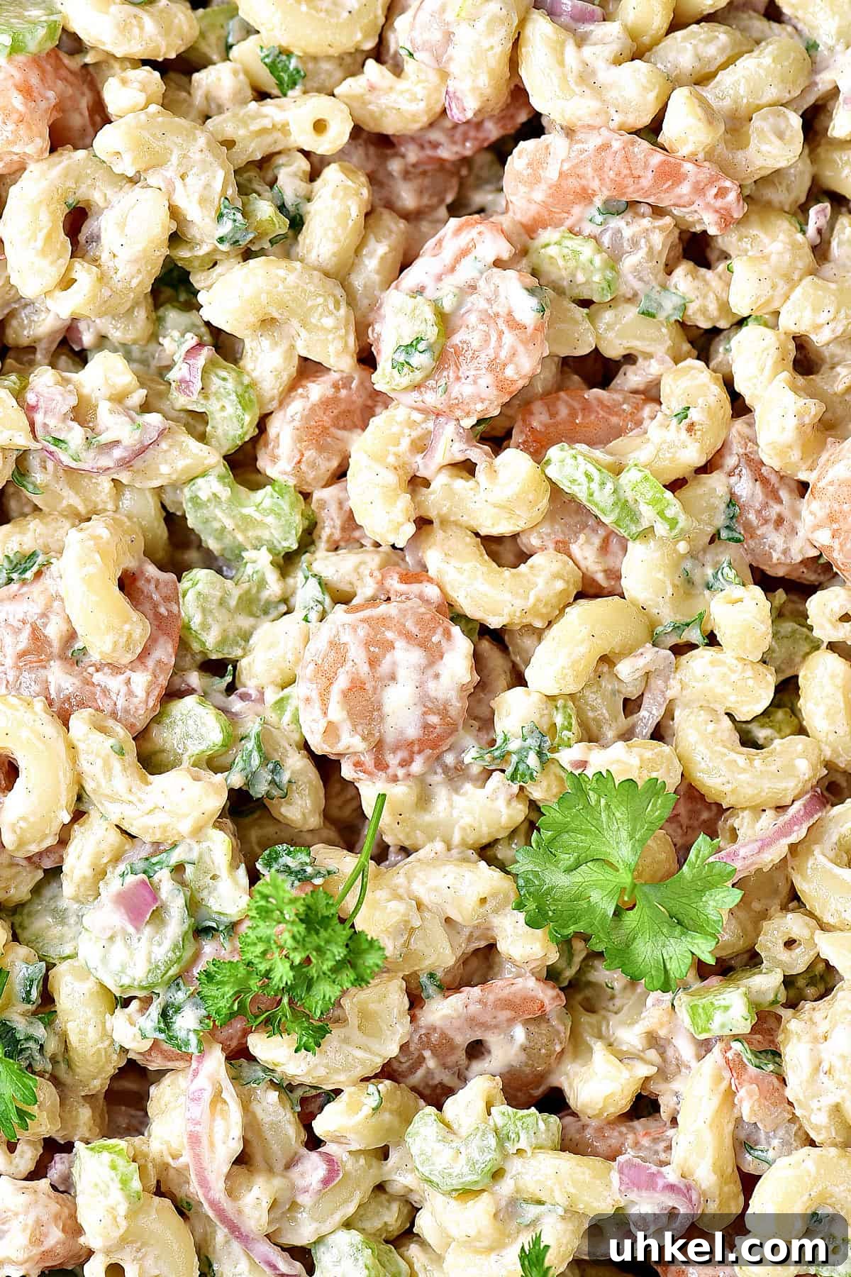 Lemon Garlic Shrimp Pasta Salad with Fresh Herbs 3 Close up shrimp pasta salad with parsley leaves.