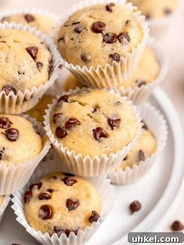 Chocolate chip mini muffins on a plate.