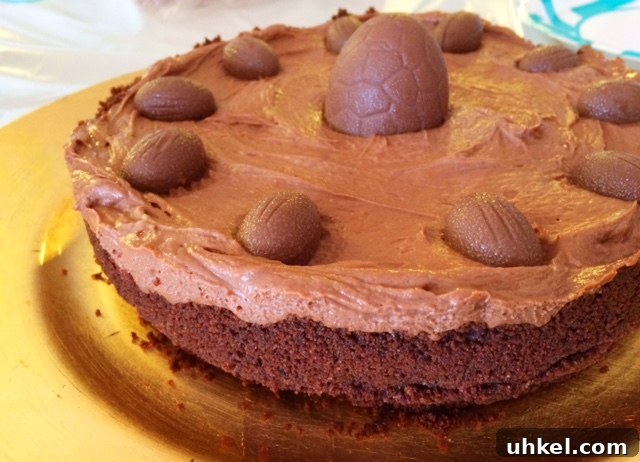 Father’s Day Meal Ideas: Delicious Recipes to Impress Dad 11 Nutella Cheesecake