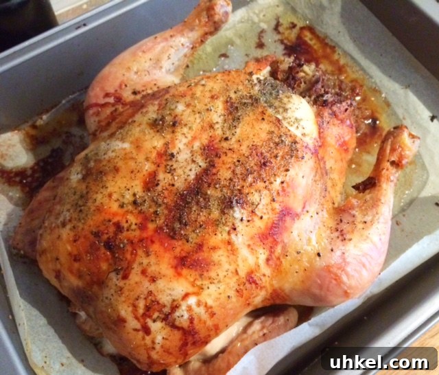 Father’s Day Meal Ideas: Delicious Recipes to Impress Dad 10 How to Roast a Whole Chicken