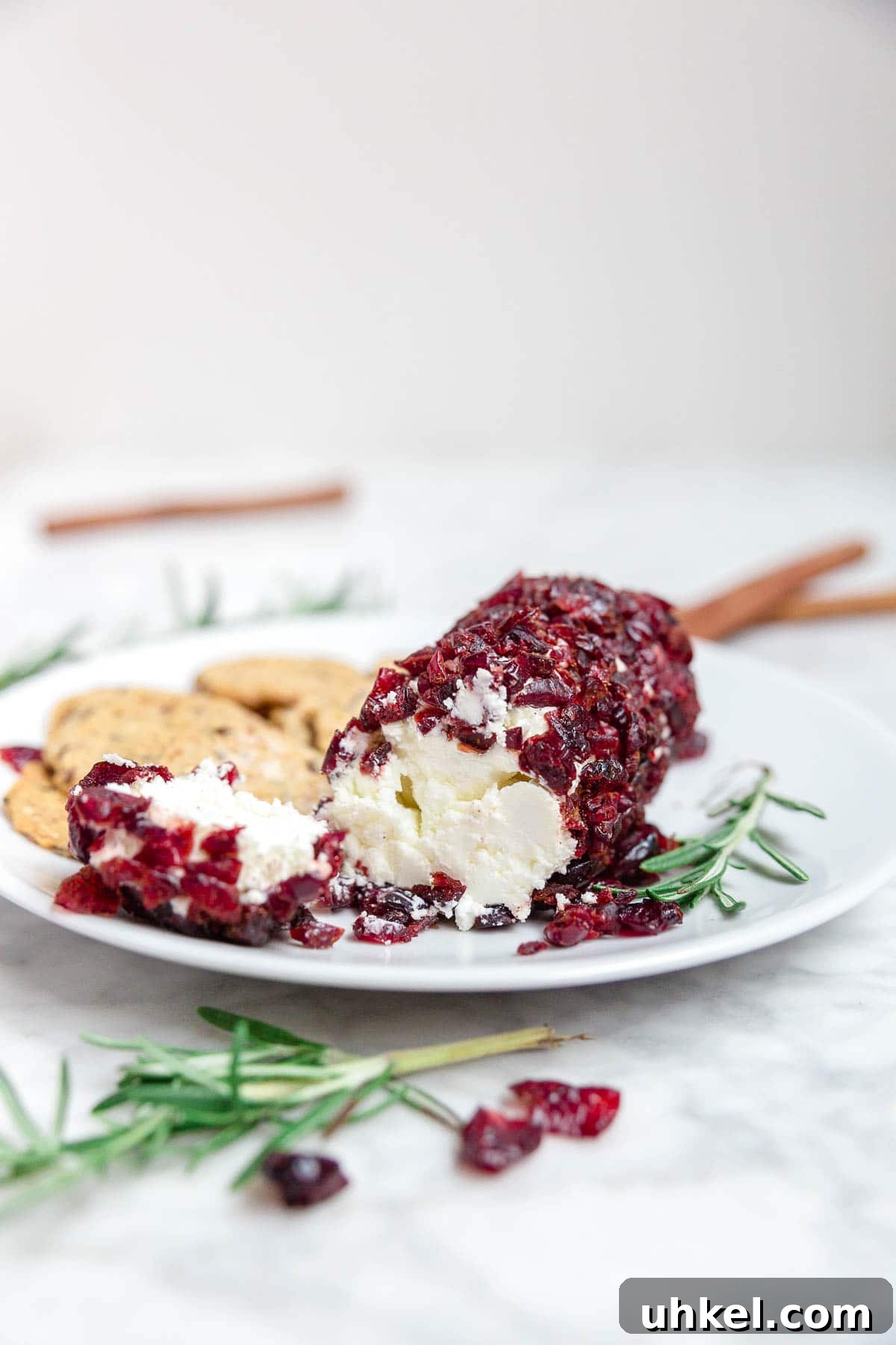 Cranberry Goat Cheese Log Recipe for Holiday Entertaining 2 Cranberry cinnamon goat cheese log on a plate with gluten-free crackers.