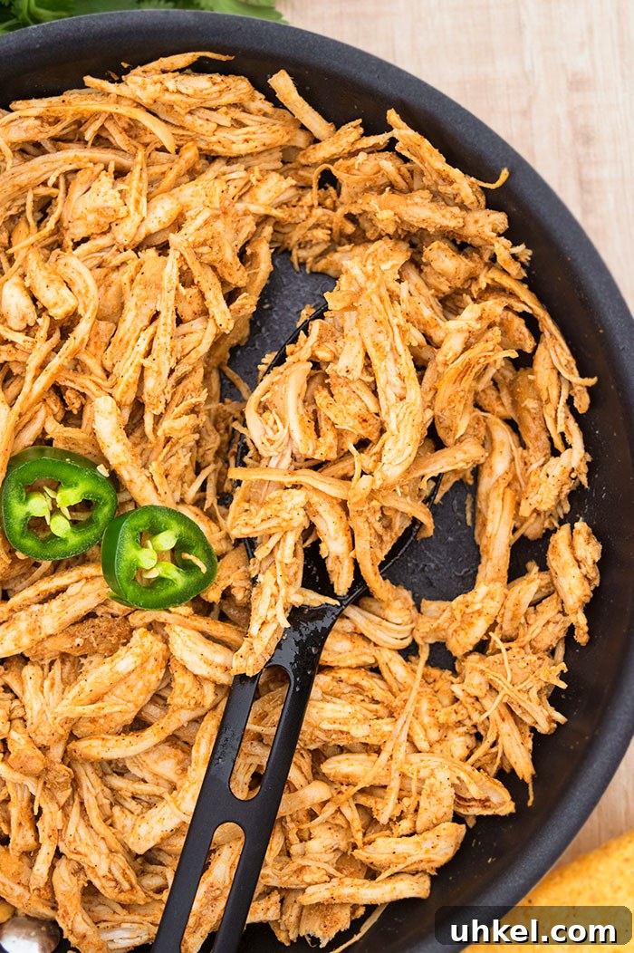 Plated shredded Mexican chicken