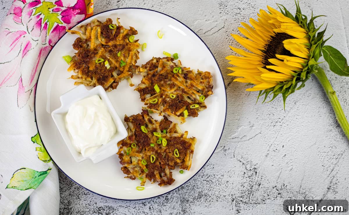 19 Budget-Friendly Dinners That Cut Your Grocery Bill (Delicious!) 16 Corned beef fritters and a dip on a white plate with a sunflower on side.
