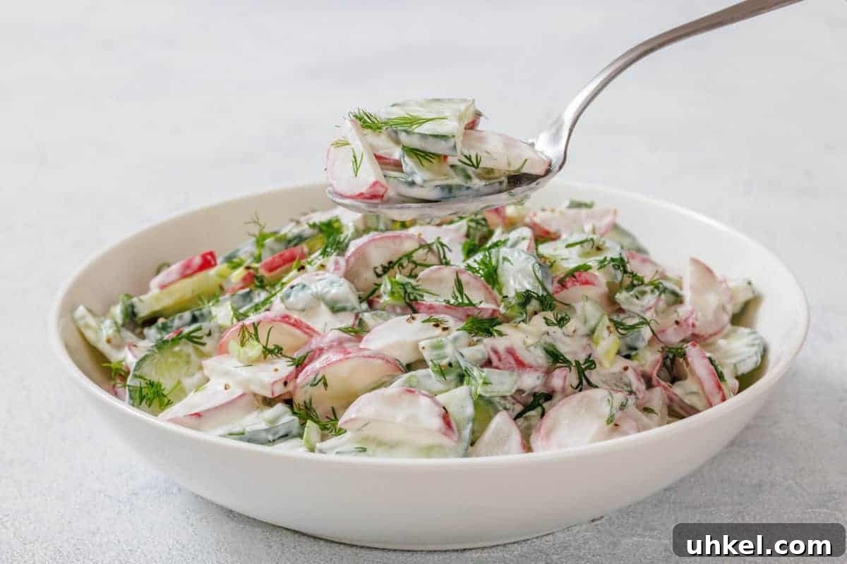 19 Budget-Friendly Dinners That Cut Your Grocery Bill (Delicious!) 5 A bowl of Creamy Radish Salad garnished with dill, with a spoon lifting a portion above the bowl.