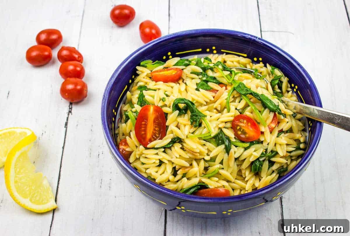 19 Budget-Friendly Dinners That Cut Your Grocery Bill (Delicious!) 9 Creamy spinach orzo in a blue bowl with tomatoes nearby.