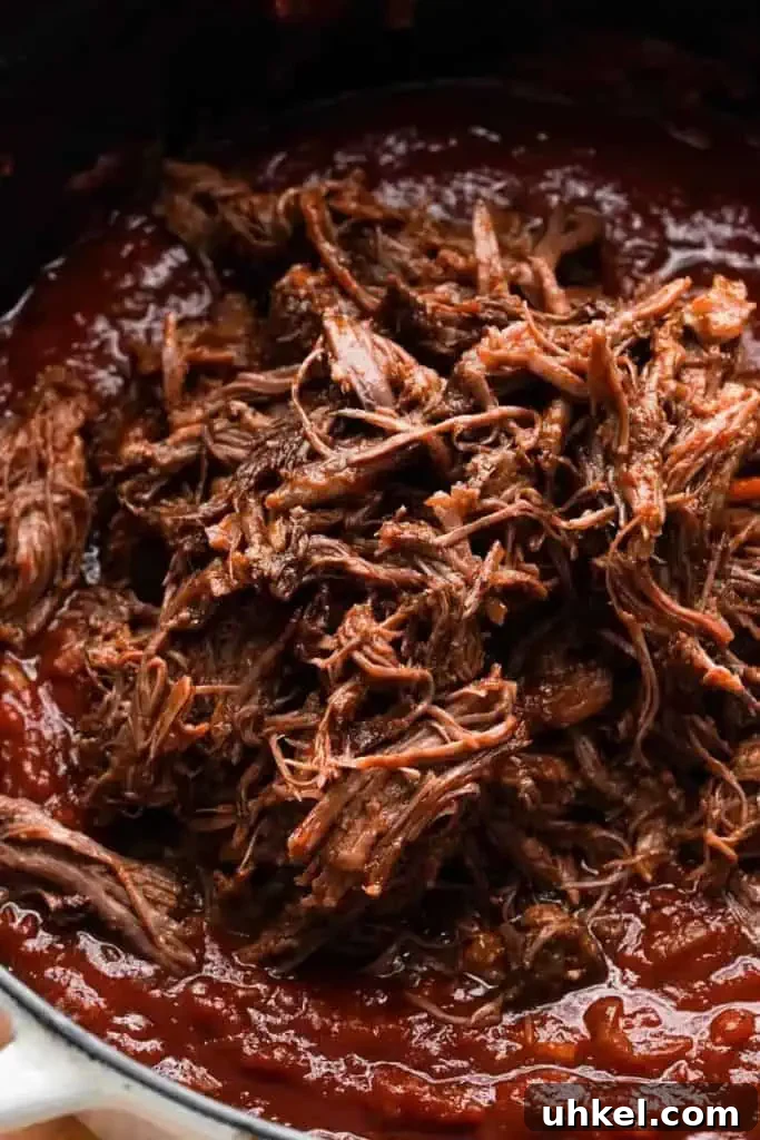 Braised short rib ragu Shredded braised short ribs in a rich tomato sauce, highlighting the tender meat and thick texture of the ragu.