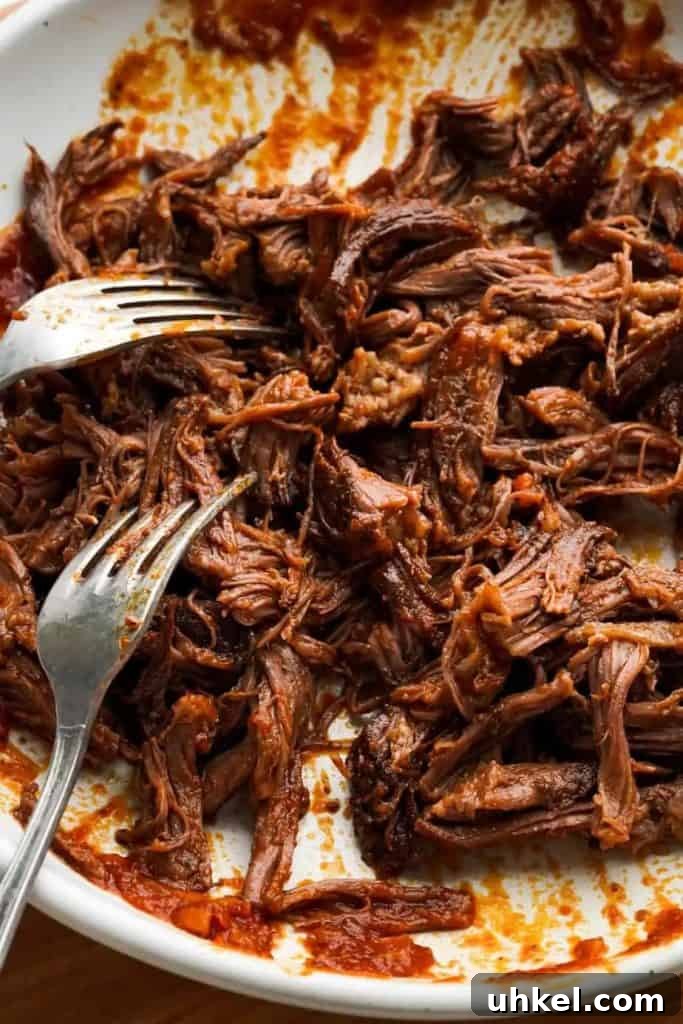 short rib ragu recipe Shredded beef short ribs on a plate with two forks, ready to be added back to the ragu sauce.