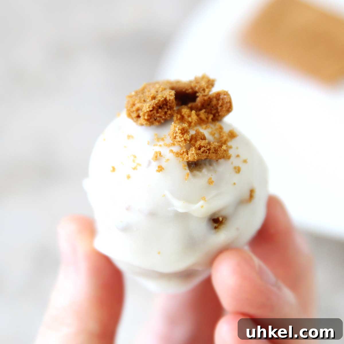 Lotus Biscoff Protein Balls