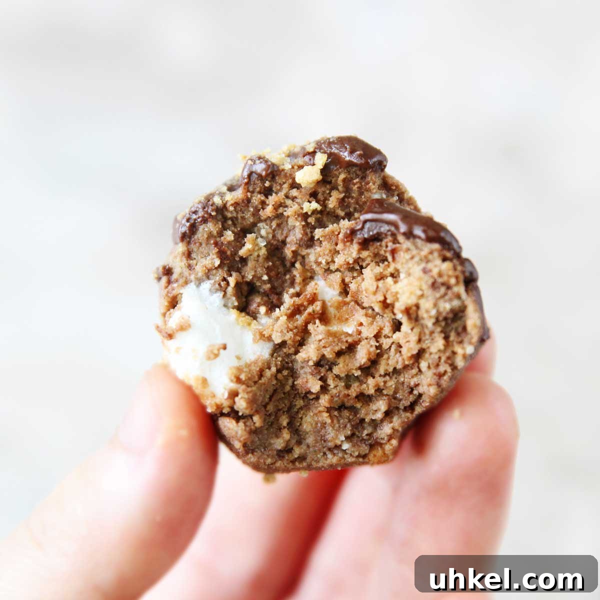Nutella S'mores Protein Balls