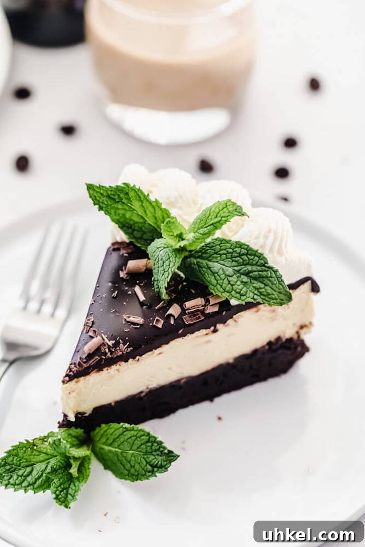 Baileys Brownie Cheesecake Recipe: Decadent Chocolate Whiskey Cheesecake 2 cheesecake slice on a plate