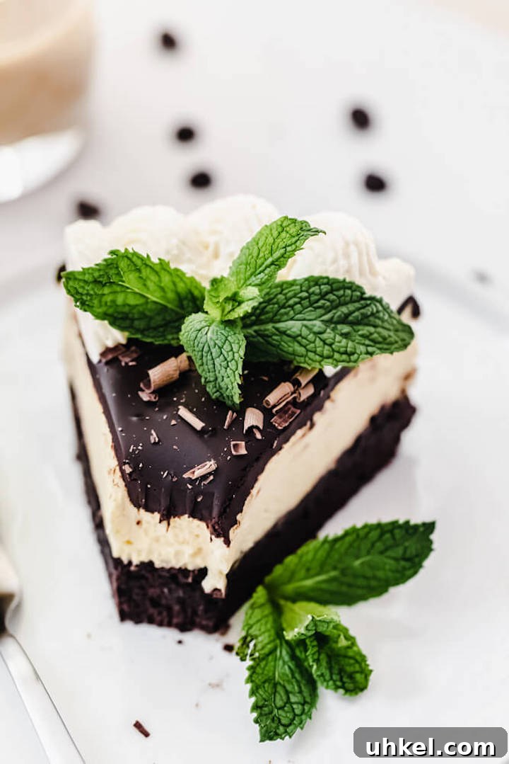 Baileys Brownie Cheesecake Recipe: Decadent Chocolate Whiskey Cheesecake 14 slice of cheesecake with bite taken out