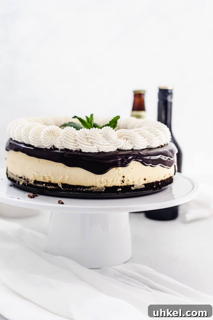 Baileys Brownie Cheesecake Recipe: Decadent Chocolate Whiskey Cheesecake 3 cheesecake on a white cake stand