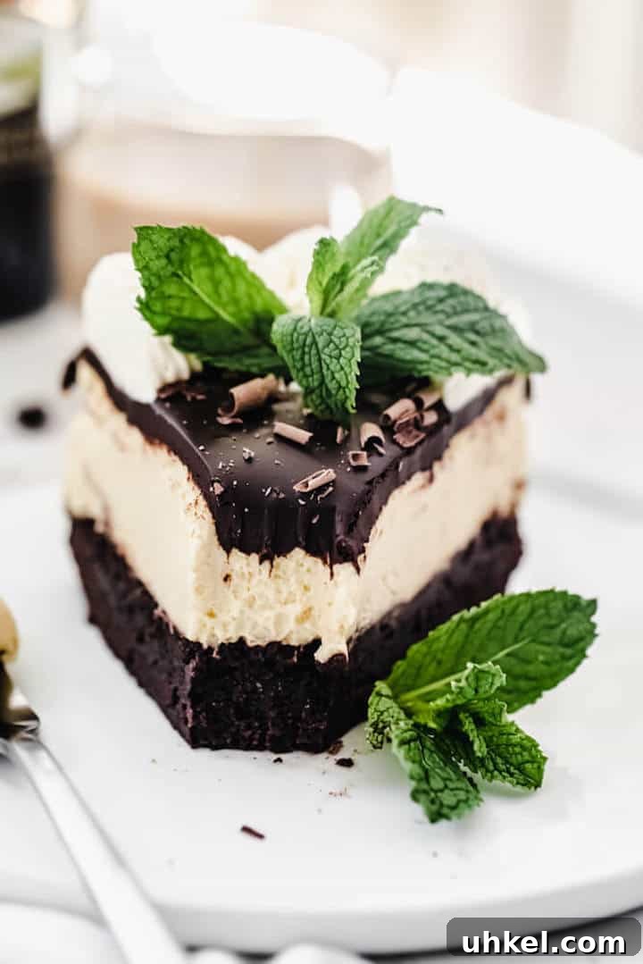 Baileys Brownie Cheesecake Recipe: Decadent Chocolate Whiskey Cheesecake 5 close up front view of cheesecake on a white plate