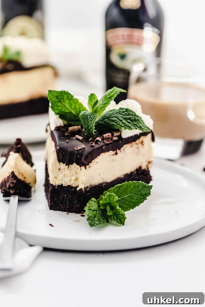 Baileys Brownie Cheesecake Recipe: Decadent Chocolate Whiskey Cheesecake 6 close up of half eaten cheesecake on a plate