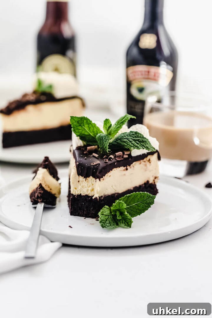 Baileys Brownie Cheesecake Recipe: Decadent Chocolate Whiskey Cheesecake 7 slice of cheesecake with a bite taken out on a white plate