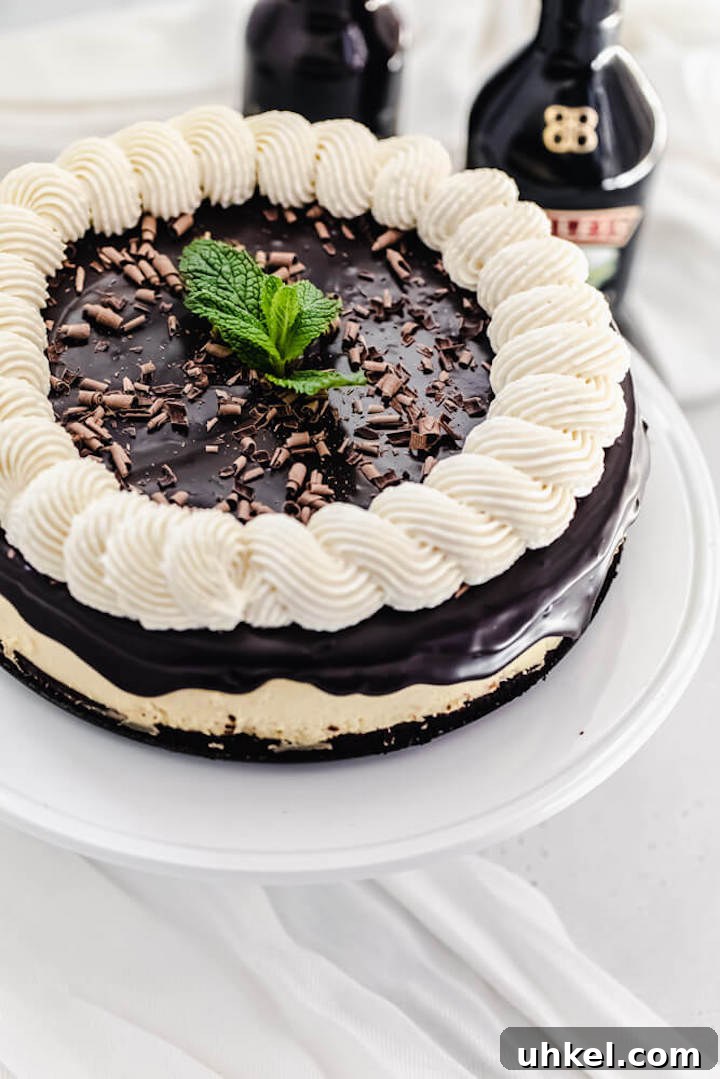 Baileys Brownie Cheesecake Recipe: Decadent Chocolate Whiskey Cheesecake 10 cheesecake on a white cake stand