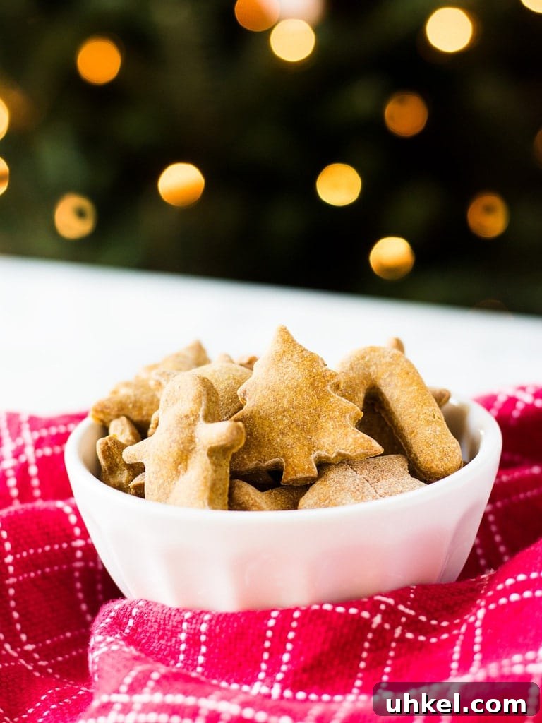 Homemade Peanut Butter Dog Treat Recipe: Simple & Nutritious 2 Homemade peanut butter dog treats are fun to make with Christmas cookie cutters. This easy recipe makes a lot of treats that your puppy will love! | www.ifyougiveablondeakitchen.com