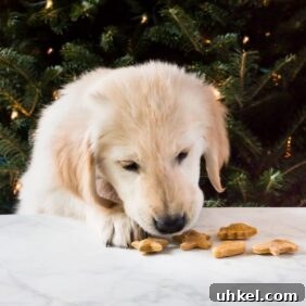 Homemade Peanut Butter Dog Treat Recipe: Simple & Nutritious 5 Homemade peanut butter dog treats are a sweet gift for your puppy this Christmas! The biscuits require only four ingredients! | www.ifyougiveablondeakitchen.com