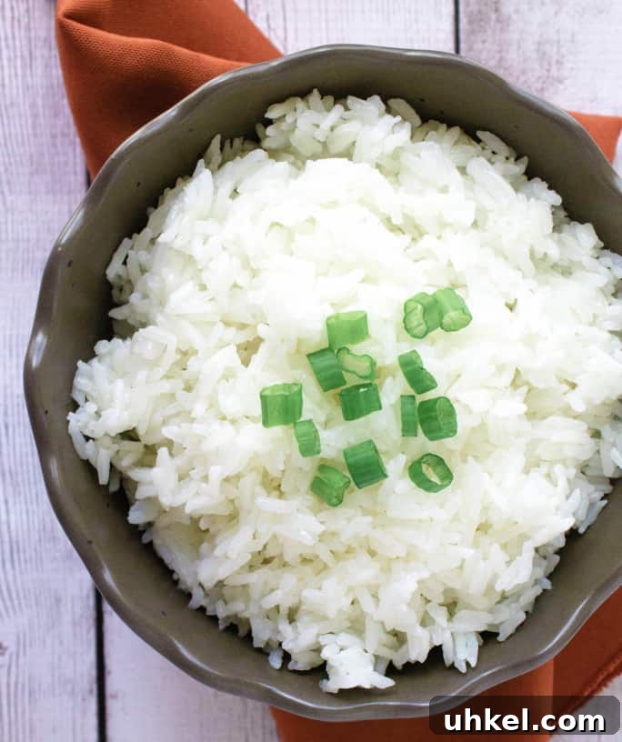 brown bowl with jasmine rice that was made in the Instant Pot
