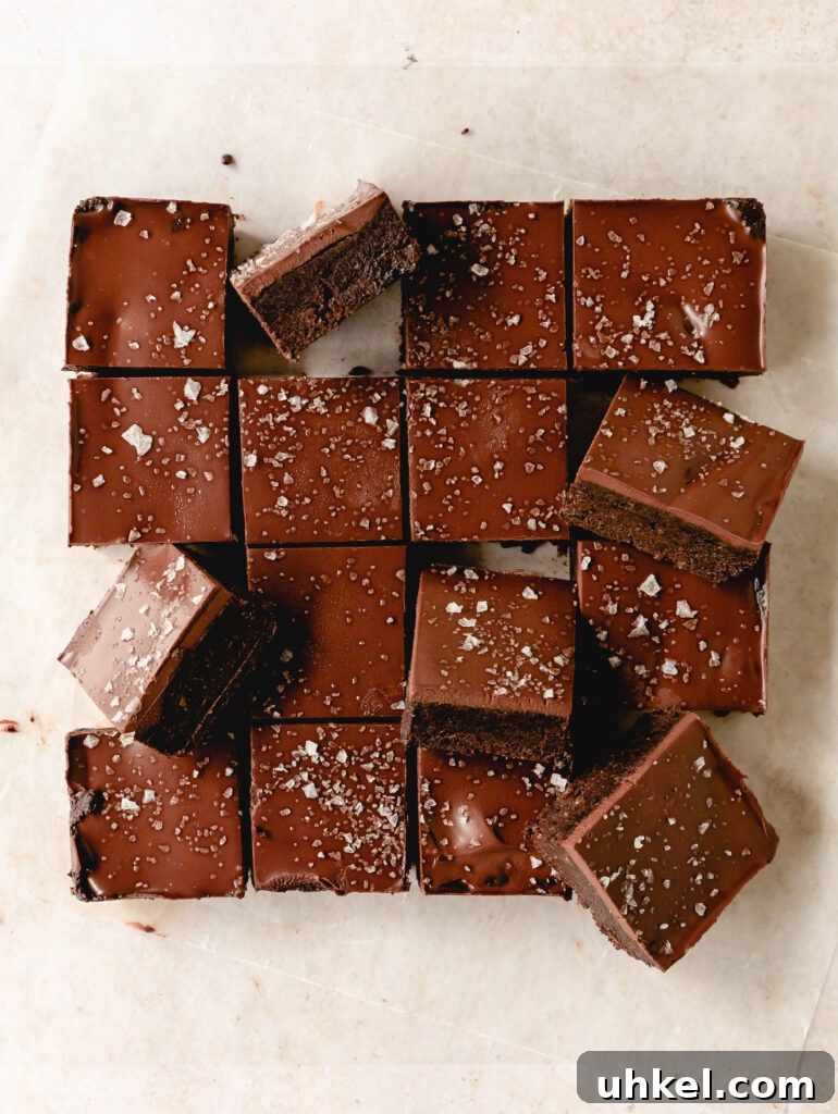 No-Bake Chocolate Brownies: Quick No-Oven Dessert Recipe 2 no bake brownies