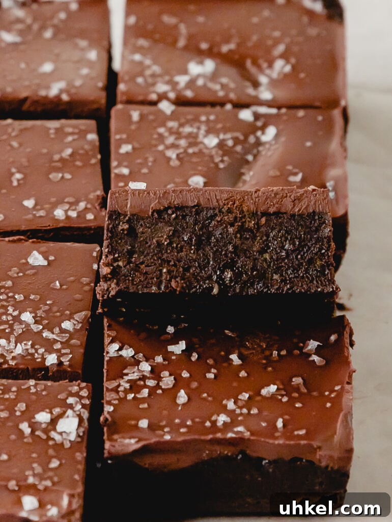 No-Bake Chocolate Brownies: Quick No-Oven Dessert Recipe 7 img 8522 7
