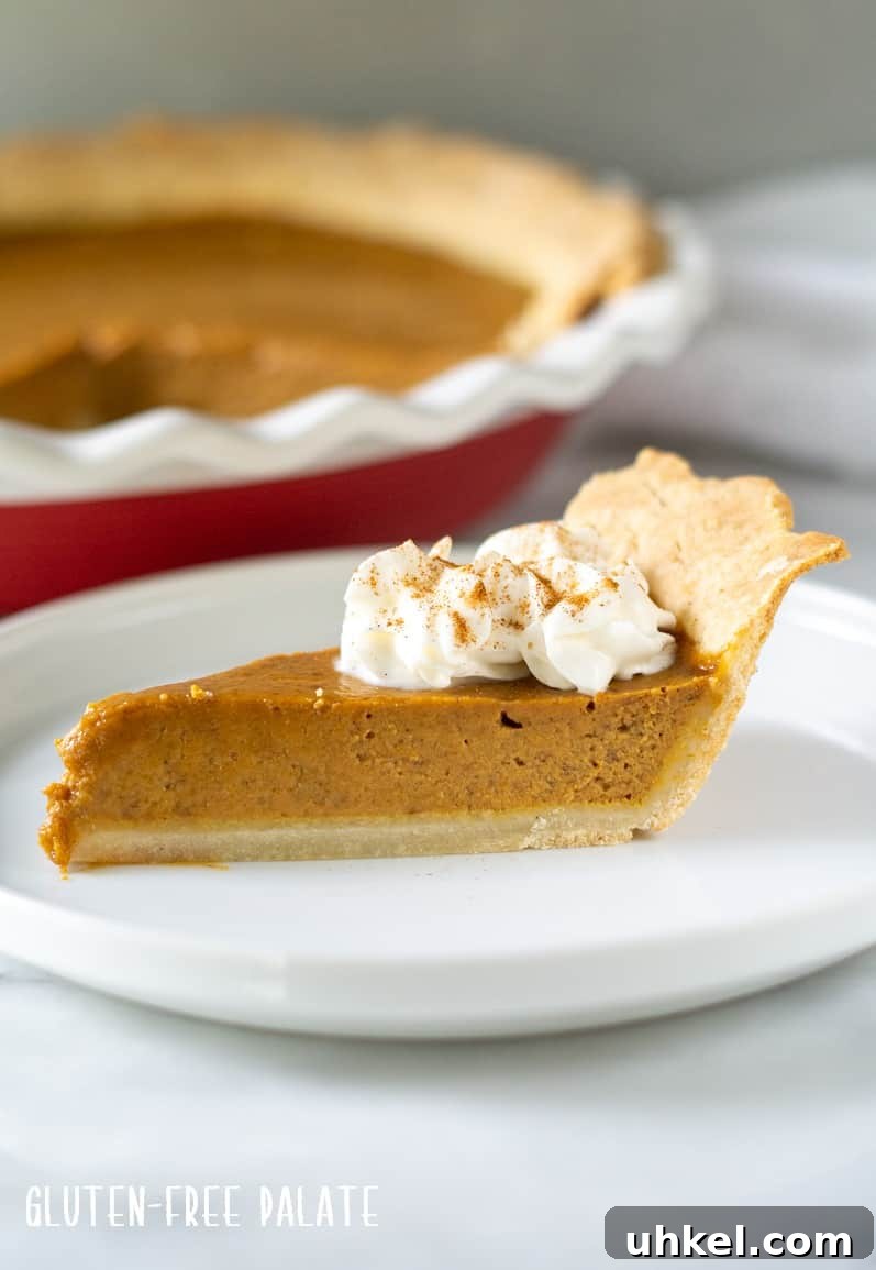 Gluten-Free Pumpkin Pie Recipe That Tastes Like Fall 7 Side view of a slice of gluten-free pumpkin pie with whipped cream on top