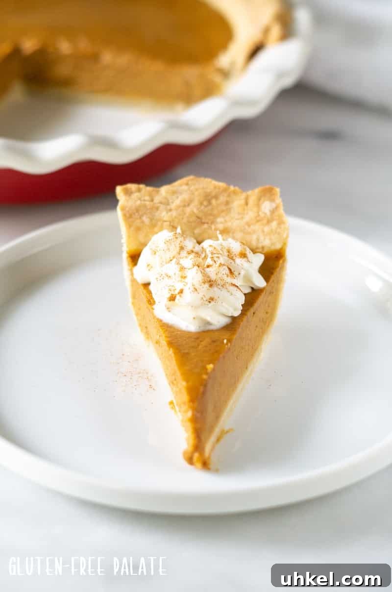 Gluten-Free Pumpkin Pie Recipe That Tastes Like Fall 8 front on view of a slice of gluten-free pumpkin pie with whipped cream on top