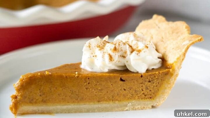 Side view of a slice of gluten free pumpkin pie with whipped cream on top