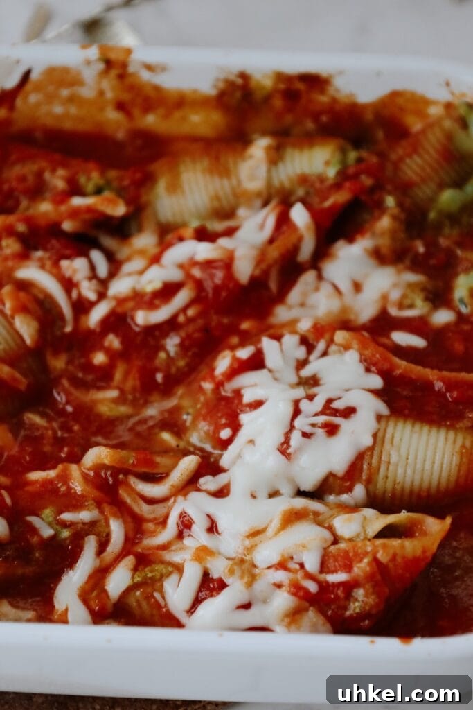 Creamy Cottage Cheese Stuffed Pasta Shells 2 stuffed pasta shells with cottage cheese