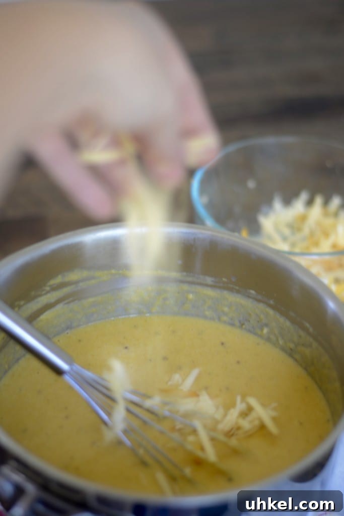 Cheesy Butternut Squash & Pumpkin Spaghetti Pie Recipe 6 Butternut Squash, Pumpkin, Cheese Sauce @sarcasticcook